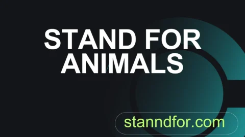 stand for animals