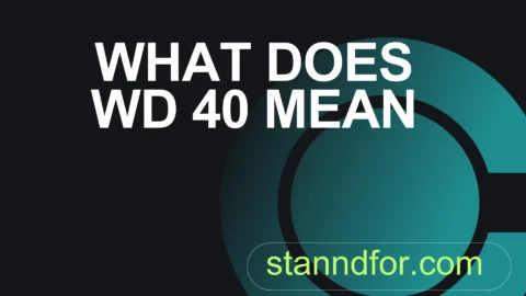 what does wd 40 mean