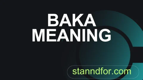 baka meaning