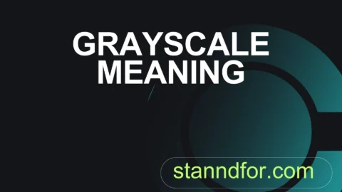 grayscale meaning