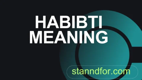 habibti meaning