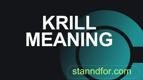 krill meaning