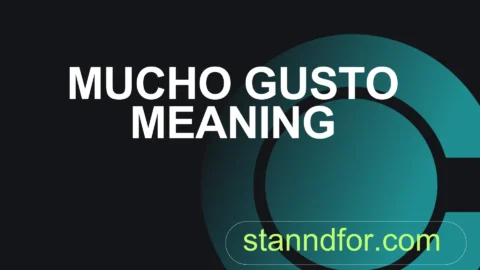 mucho gusto meaning