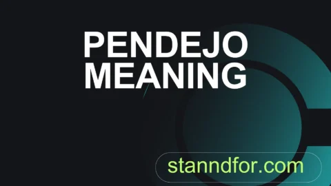 pendejo meaning