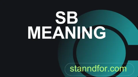 sb meaning