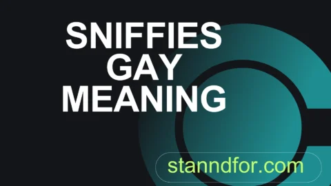 sniffies gay meaning