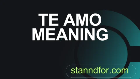 te amo meaning
