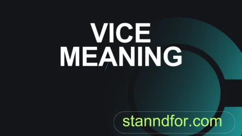 vice meaning