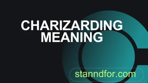 charizarding meaning