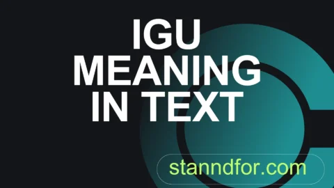 igu meaning in text