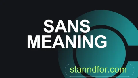 sans meaning