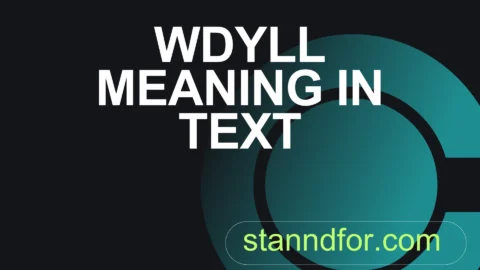 wdyll meaning in text