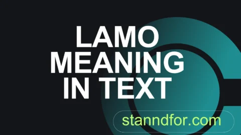 lamo meaning in text
