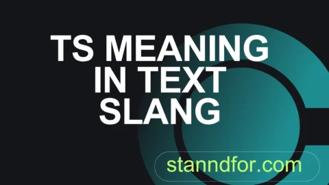 ts meaning in text slang