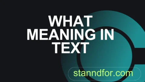 what meaning in text