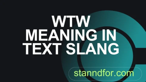 wtw meaning in text slang
