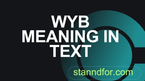wyb meaning in text