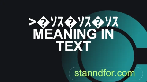 >�ｿｽ�ｿｽ�ｿｽ meaning in text