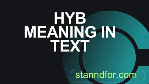 hyb meaning in text