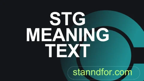 stg meaning text