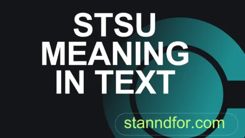 stsu meaning in text