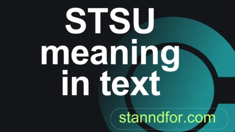 stsu meaning in text