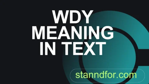 wdy meaning in text