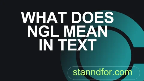 what does ngl mean in text