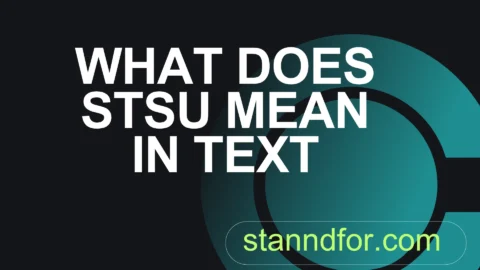 what does stsu mean in text