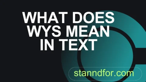 what does wys mean in text