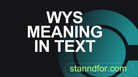 wys meaning in text