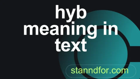 hyb meaning in text