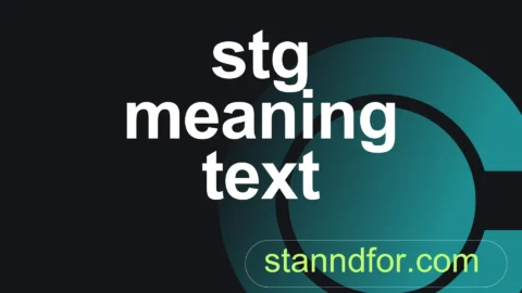 stg meaning text