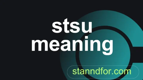 stsu meaning