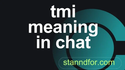 tmi meaning in chat