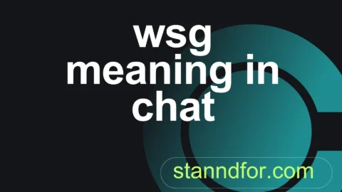 wsg meaning in chat