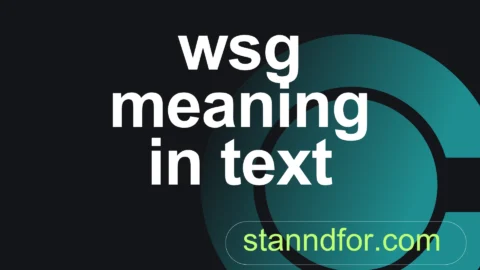 wsg meaning in text