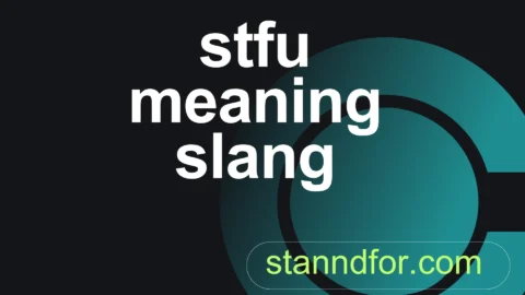 stfu meaning slang