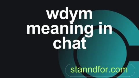 wdym meaning in chat