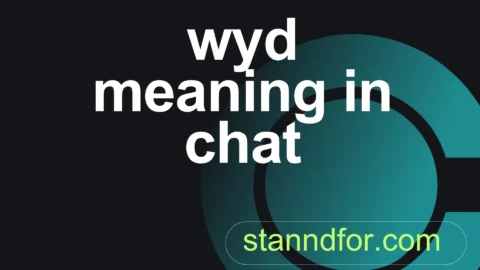 wyd meaning in chat