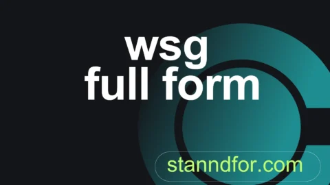wsg full form